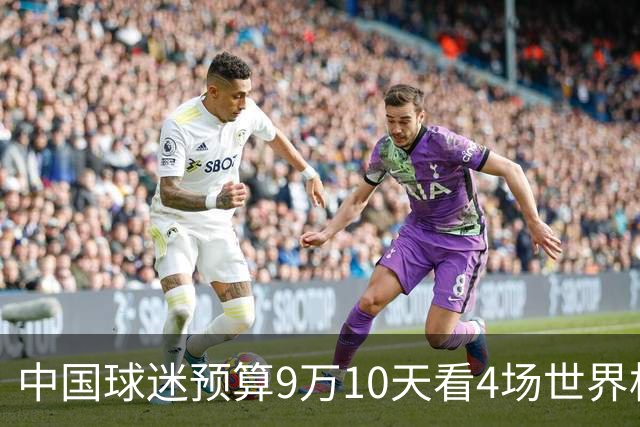 中国球迷预算9万10天看4场世界杯：为了见梅西和C罗，只好拼了